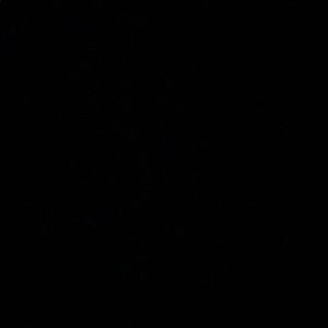 Meet your Posher, Brett